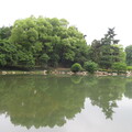 HZ Botanical Garden 3